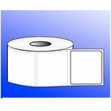 50mmX50mm Blank Polyester Label - 2UP